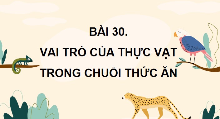 bai 30 vai tro cua thuc vat trong chuoi thuc an 7*904872