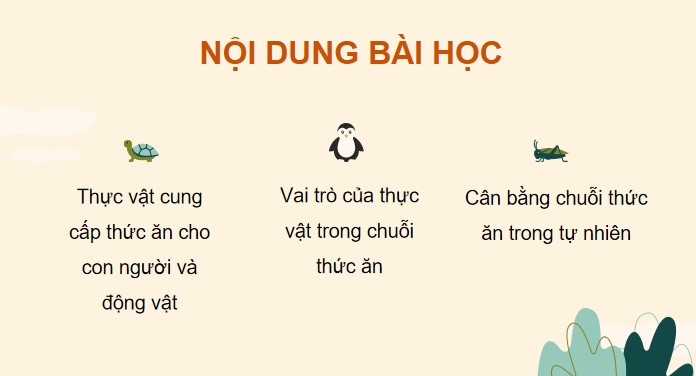 bai 30 vai tro cua thuc vat trong chuoi thuc an 8*904873