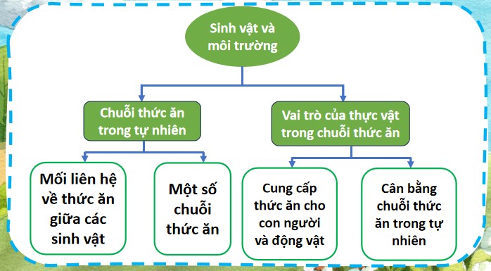 bai 31 on tap chu de sinh vat va moi truong 4*904899