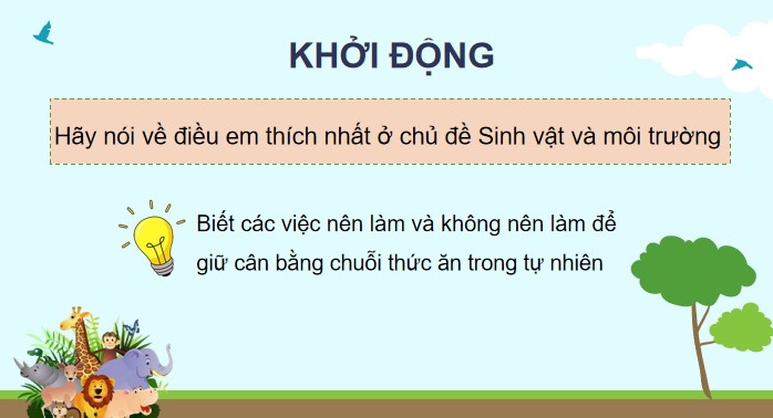 bai 31 on tap chu de sinh vat va moi truong 6*904902