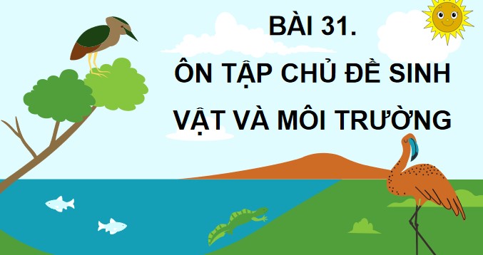 bai 31 on tap chu de sinh vat va moi truong 7*904900