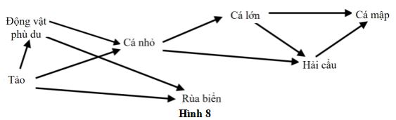 Đề thi thử THPT Quốc gia môn Sinh học