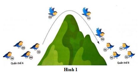 Đề thi thử THPT Quốc gia môn Sinh học