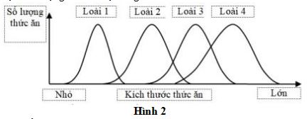Đề thi thử THPT Quốc gia môn Sinh học