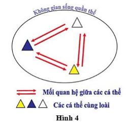 Đề thi thử THPT Quốc gia môn Sinh học