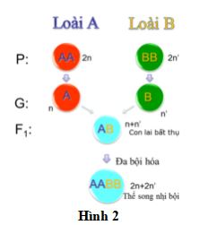 Đề thi thử THPT Quốc gia môn Sinh học