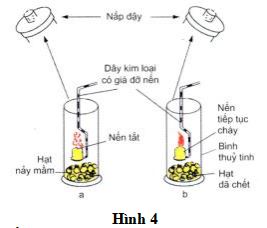 Đề thi thử THPT Quốc gia môn Sinh học