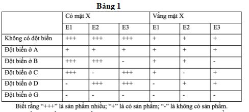 Đề thi thử THPT Quốc gia môn Sinh học