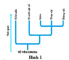 Đề thi thử THPT Quốc gia môn Sinh học