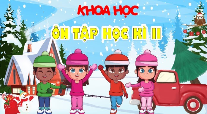 khoa hoc 4 kntt on tap hk2 1*904926