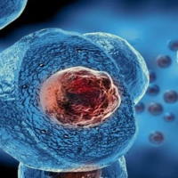 Giáo án Khoa học tự nhiên 6 Bài 17: Tế bào