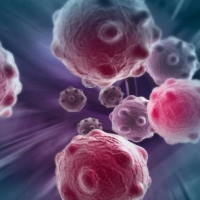 Giáo án Khoa học tự nhiên 6 Bài 18: Thực hành quan sát tế bào sinh vật