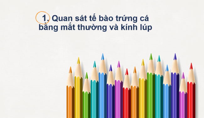 PowerPoint Khoa học tự nhiên 6 Bài 18: Thực hành quan sát tế bào sinh vật