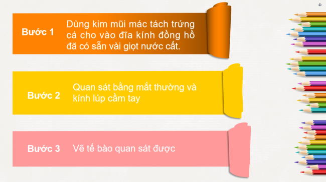 PowerPoint Khoa học tự nhiên 6 Bài 18: Thực hành quan sát tế bào sinh vật
