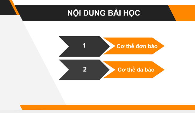 PowerPoint Khoa học tự nhiên 6 Bài 19: Cơ thể đơn bào và cơ thể đa bào