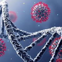 Giáo án Khoa học tự nhiên 6 Bài 20: Các cấp độ tổ chức trong cơ thể đa bào