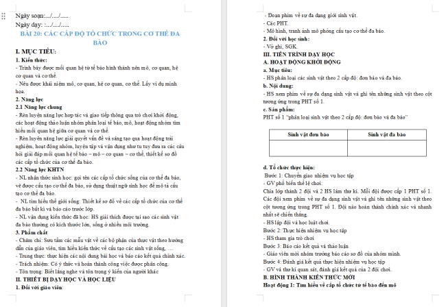 Giáo án Khoa học tự nhiên 6 Bài 20: Các cấp độ tổ chức trong cơ thể đa bào