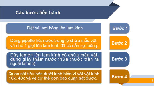 PowerPoint Khoa học tự nhiên 6 Bài 21: Thực hành quan sát sinh vật