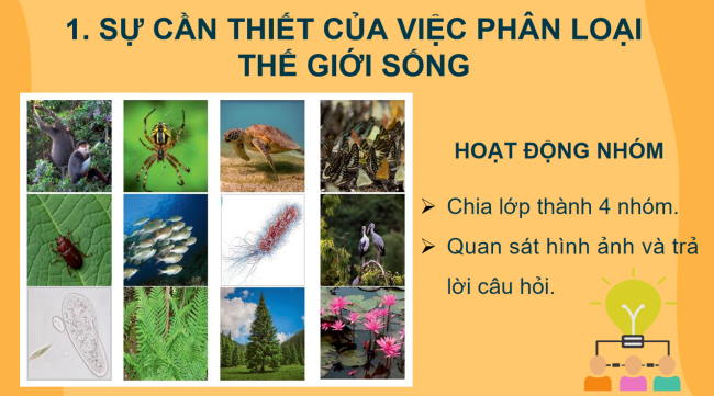 PowerPoint Khoa học tự nhiên 6 Bài 22: Phân loại thế giới sống