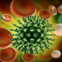 Giáo án Khoa học tự nhiên 6 Bài 24: Virus