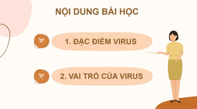 PowerPoint Khoa học tự nhiên 6 Bài 24: Virus