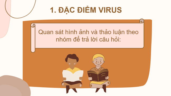 PowerPoint Khoa học tự nhiên 6 Bài 24: Virus