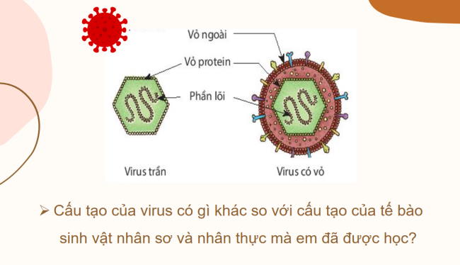 PowerPoint Khoa học tự nhiên 6 Bài 24: Virus