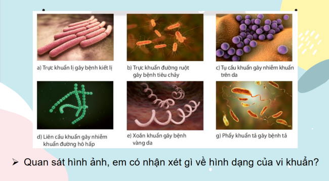 PowerPoint Khoa học tự nhiên 6 Bài 25: Vi khuẩn