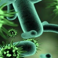 Giáo án Khoa học tự nhiên 6 Bài 26: Thực hành quan sát vi khuẩn. Tìm hiểu các bước làm sữa chua