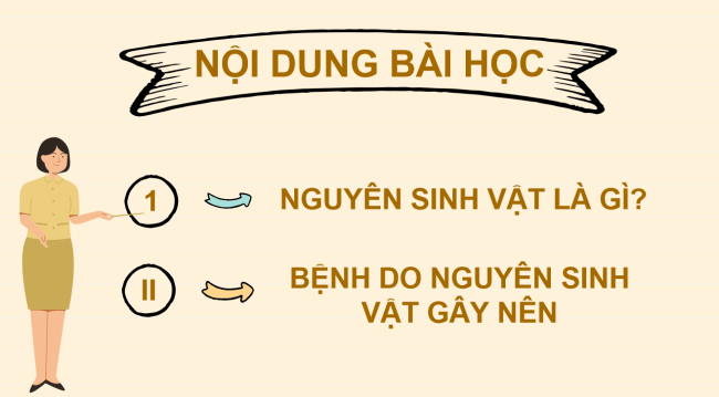 PowerPoint Khoa học tự nhiên 6 Bài 27: Nguyên sinh vật