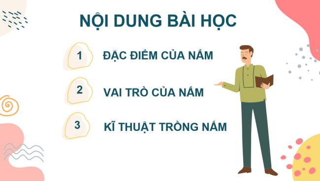 PowerPoint Khoa học tự nhiên 6 Bài 28: Nấm