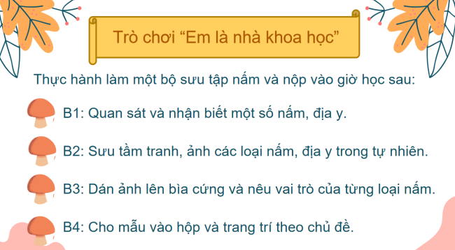 PowerPoint Khoa học tự nhiên 6 Bài 28: Nấm