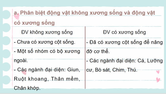 PowerPoint Khoa học tự nhiên 6 Bài 31: Động vật