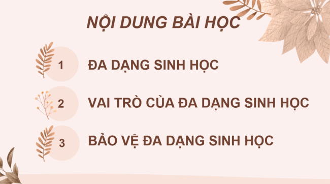 PowerPoint Khoa học tự nhiên 6 Bài 33: Đa dạng sinh học