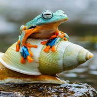 Giáo án Khoa học tự nhiên 6 Bài 34: Tìm hiểu sinh vật ngoài thiên nhiên