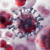 Giáo án Khoa học tự nhiên 6: Ôn tập chủ đề 7