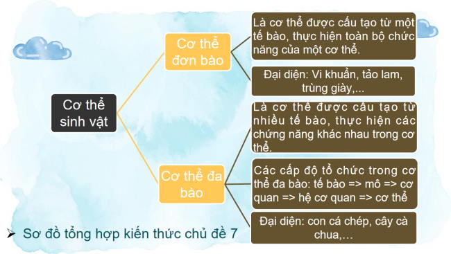 PowerPoint Khoa học tự nhiên 6 Ôn tập chủ đề 7