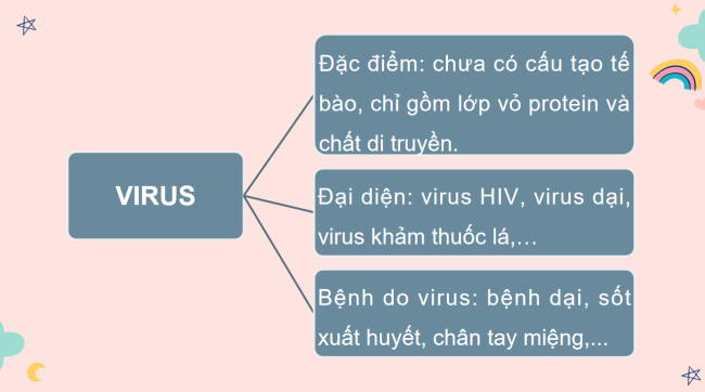 PowerPoint Khoa học tự nhiên 6 Ôn tập chủ đề 8