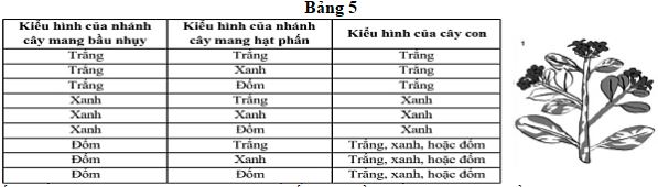 Đề thi thử THPT Quốc gia môn Sinh học