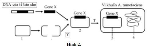 Đề thi thử THPT Quốc gia môn Sinh học
