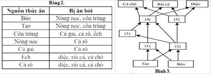 Đề thi thử THPT Quốc gia môn Sinh học