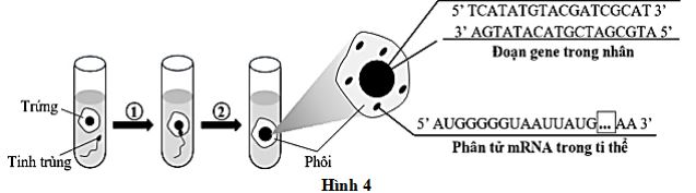 Đề thi thử THPT Quốc gia môn Sinh học