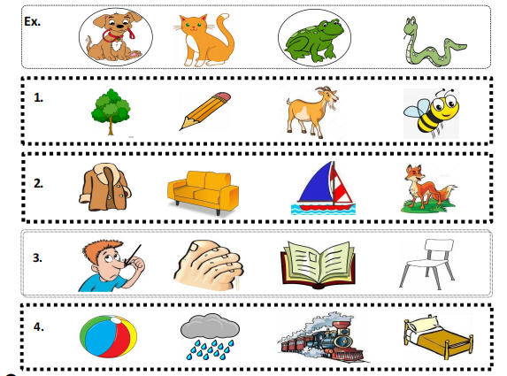 Đề ôn thi HSG Tiếng Anh lớp 3 minh họa 1