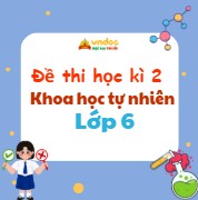 Đề thi học kì 2 KHTN 6 Chân trời sáng tạo Theo CV 7991 (Dạy song song)