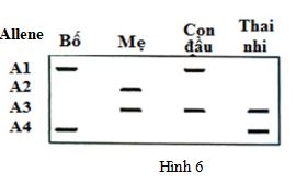 Đề thi thử THPT Quốc gia môn Sinh học