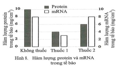 Đề thi thử THPT Quốc gia môn Sinh học