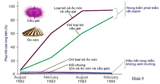 Đề thi thử THPT Quốc gia môn Sinh học