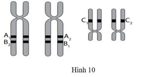 Đề thi thử THPT Quốc gia môn Sinh học