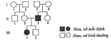 Đề thi thử THPT Quốc gia môn Sinh học
