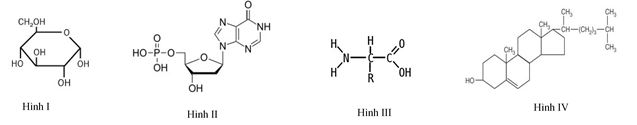 Đề thi thử THPT Quốc gia môn Sinh học